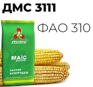 Насіння гібрида кукурудзи ДМС 3111  (Маїс Дніпро, Ukraine) 