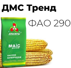 Насіння  кукурудзи ДМС Тренд ( Фао 290 ) (Маїс Дніпро, Ukraine) 