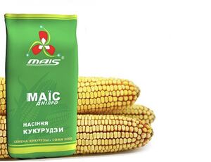 Семена  кукурузы ДМ либерти (Маїс Дніпро, Ukraine) 